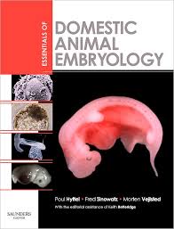 Essentials Of Domestic Animal Embryology