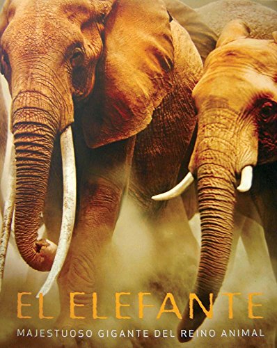 El Elefante. Majestuoso Gigante Del Reino Animal