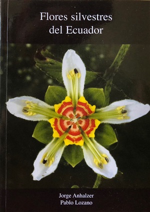 Flores Silvestres Del Ecuador
