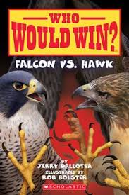 FALCON VS. HAWK (WHO WOULD WIN?) (23)