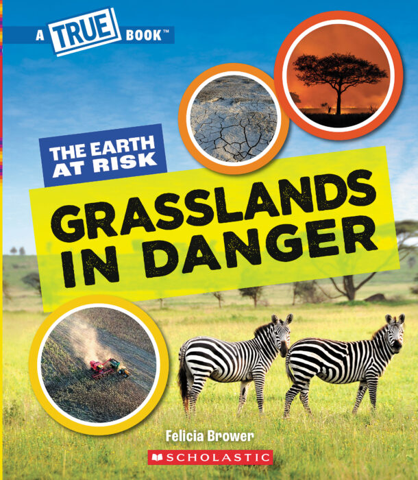 Grasslands In Danger