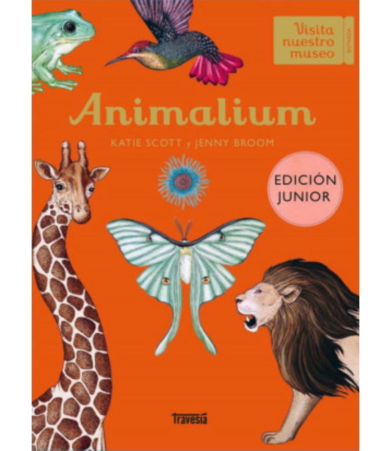 Animalium